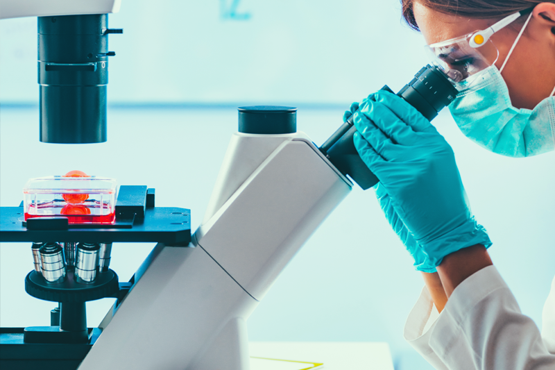 Zakończyliśmy pierwszy etap badania!