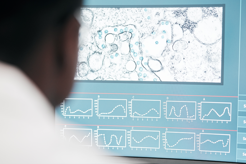 II etap badania zakończony!